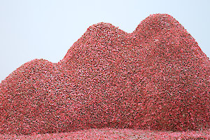 Ernesto Neto, O tempo lento de corpo que é pele, 2004, Thyssen-Bornemisza Art Contemporary Collection, © Ernesto Neto, Foto: PUNCTUM/Alexander Schmidt