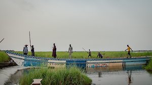 Nyasha Kadandar, Le Lac,