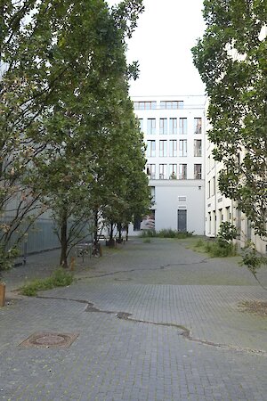 Nina Schuiki, Frühling (Installationsansicht), 2024, Stadt Leipzig, © Nina Schuiki / VG Bild-Kunst Bonn, Foto: dotgain.info