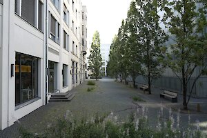 Nina Schuiki, Frühling (Installationsansicht), 2024, Stadt Leipzig, © Nina Schuiki / VG Bild-Kunst Bonn, Foto: dotgain.info