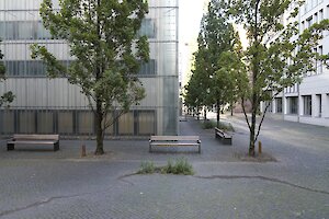 Nina Schuiki, Frühling (Installationsansicht), 2024, Stadt Leipzig, © Nina Schuiki / VG Bild-Kunst Bonn, Foto: dotgain.info