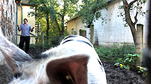 Mailand / Innenhof, re:misere, 2025, Videostill © Künstler